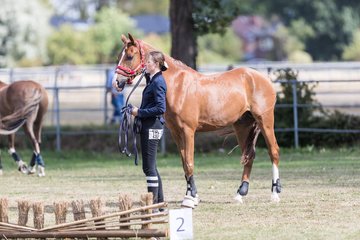 Bild 39 - Pony Akademie Turnier